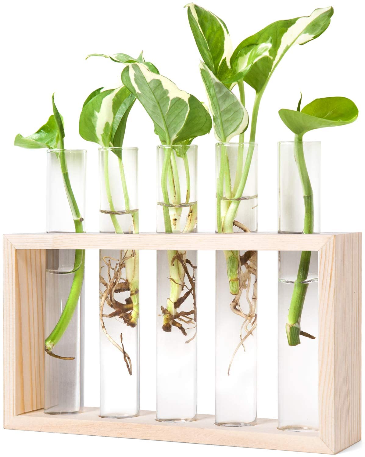 Clear Glass Tube Flower Pot Hydroponic Plant Vase Terrarium Container Home Decor Clear Glass Tube Flower Pot Hydroponic Plant Vase Terrarium Container Home Decor